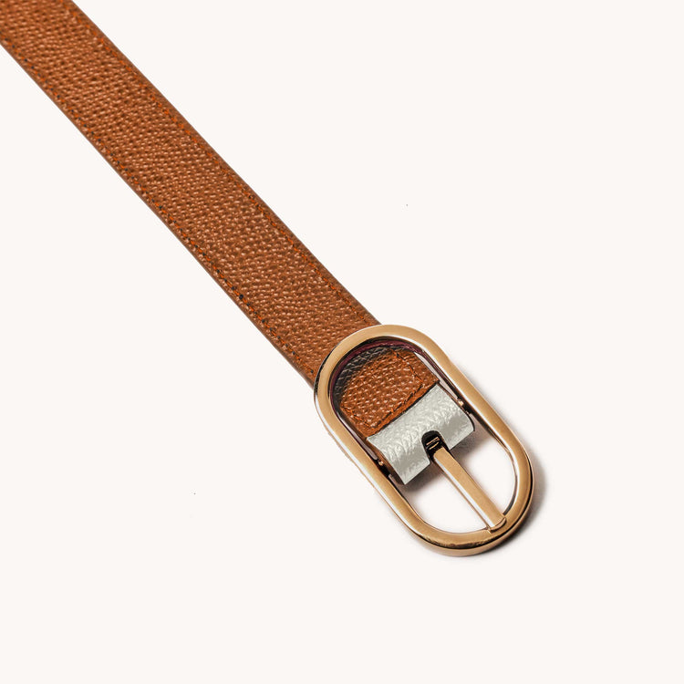 Reversible Shoulder Strap Colorblock Chestnut/Cream with Gold Hardware Detail Shot